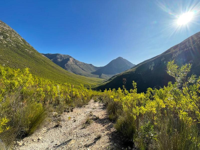 0 Bedroom Property for Sale in Tsitsikamma Eastern Cape